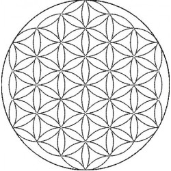 Stickdatei - Blume des Lebens